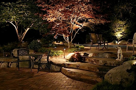 A night picture of a park decorated with beautiful plants and spot lights in a visually appealing manner