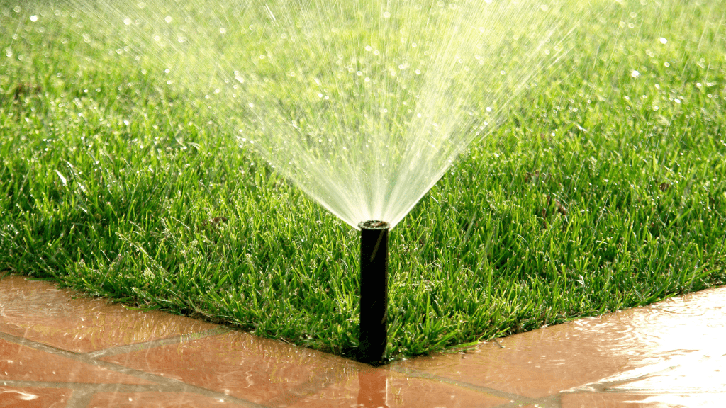 showing irrigation system for efficient watering in landscaping