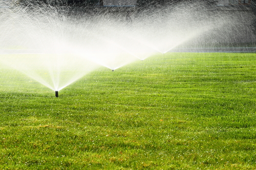 toronto lawn care