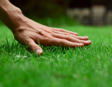 a hand laid gently on vibrant green grass