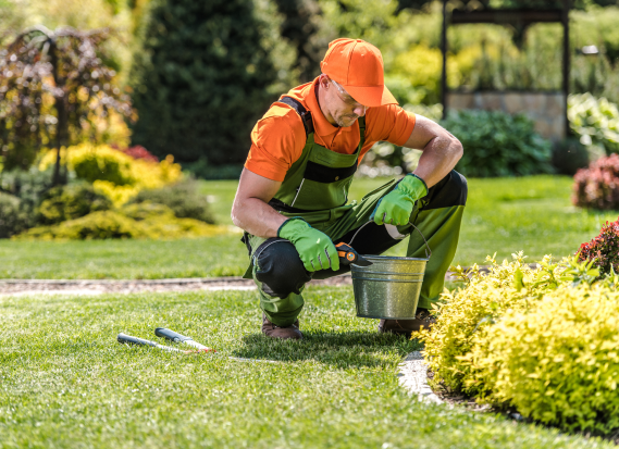 Person conducting garden maintenance, tending to plants and landscape
