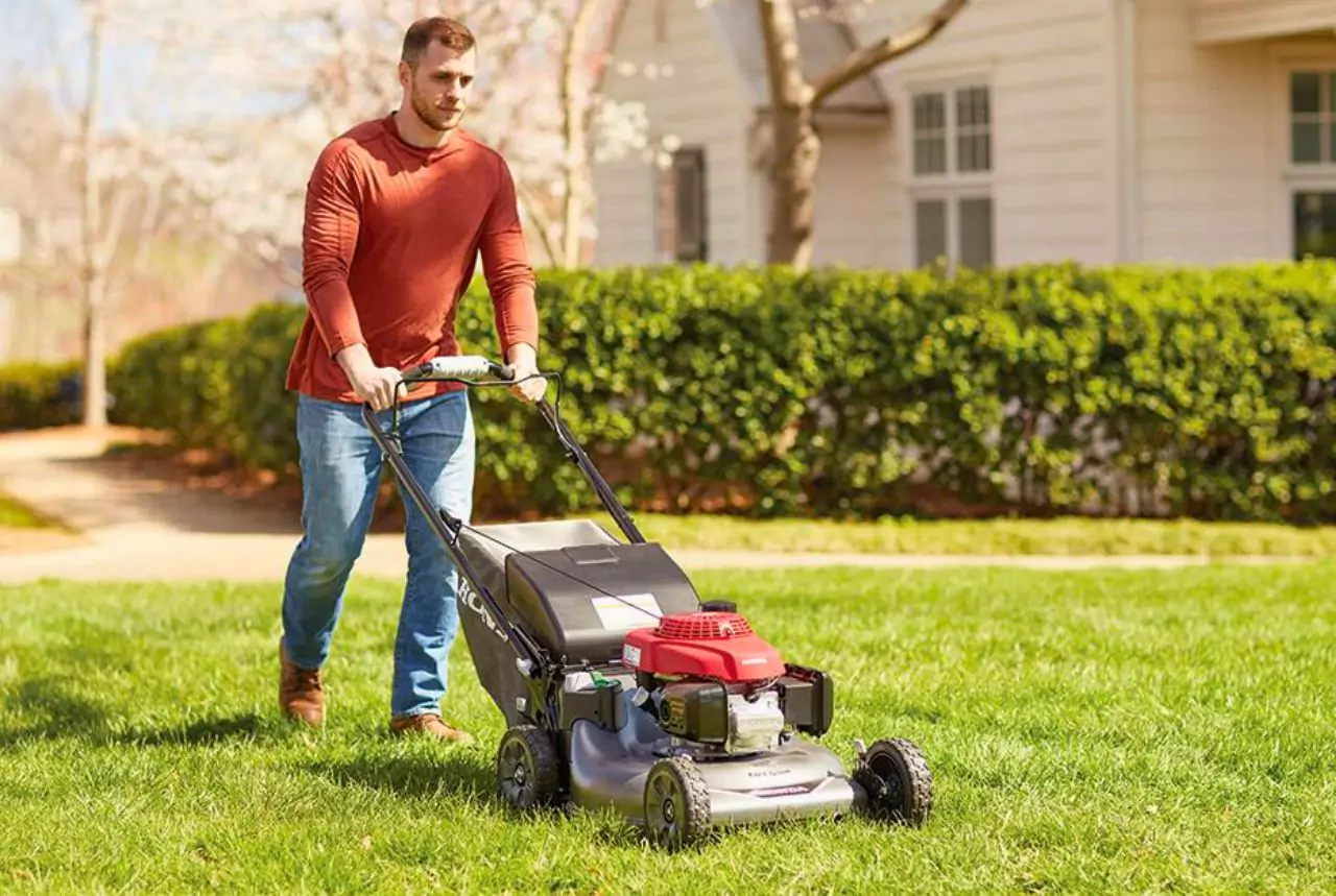 Snap Out of Winter: 7 Easy Tips for Early Spring Lawn Care