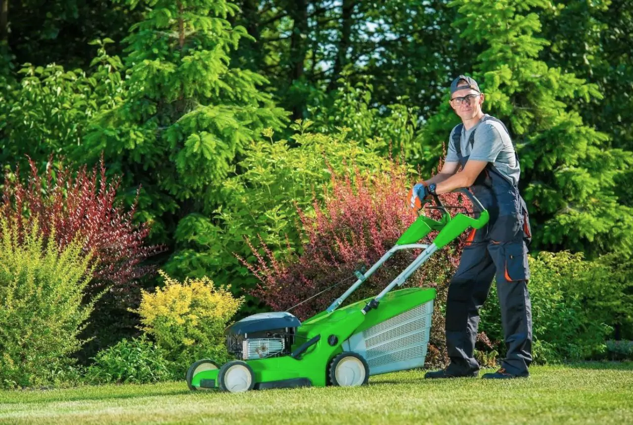 9 Lawn Care Tips for a Greener, Thicker, Healthier Lawn