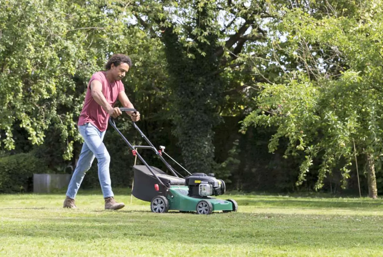 Lawn Maintenance for the Start of Spring