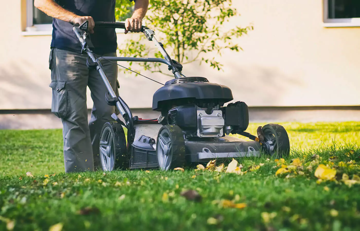 4 Common Mistakes to Avoid in Lawn Maintenance